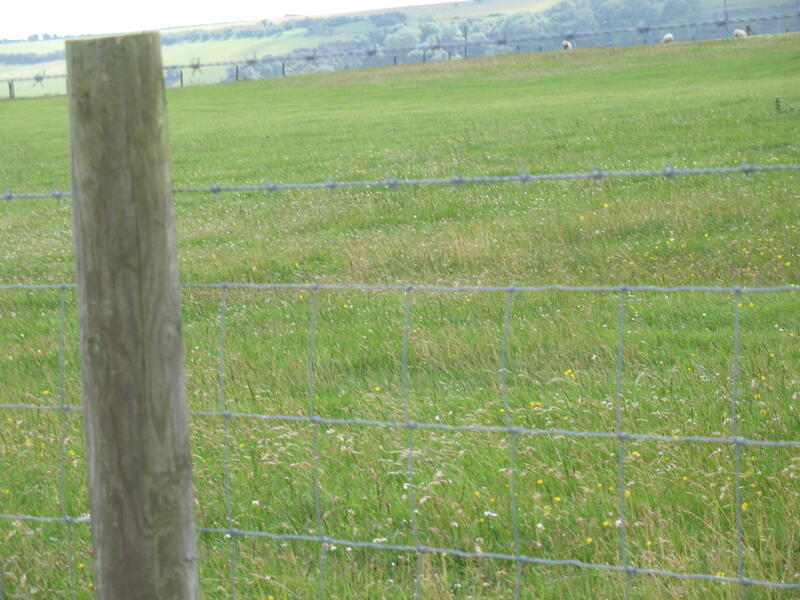 bittasweet_x, Accrington, Lancashire