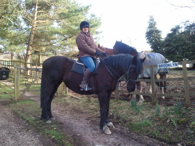 flairy2, Denbigh, Denbighshire