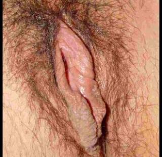dirtyslut44, Macclesfield, Cheshire East