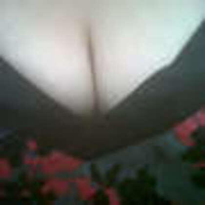 pamperme_31, Leominster, Herefordshire